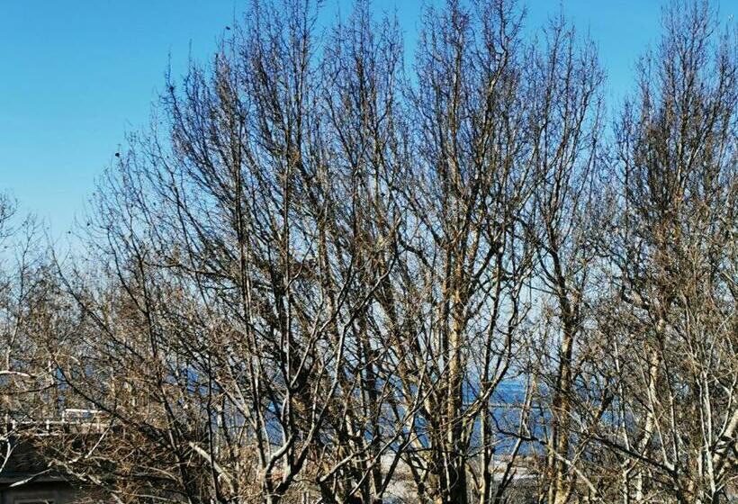 تختخواب و صبحانه Murat Otto