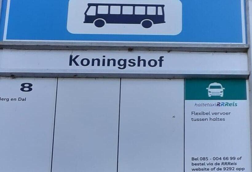 تختخواب و صبحانه Back Stage