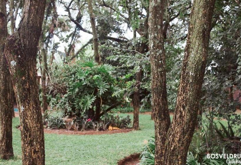 بنسيون Bosveldrus Gastehuis