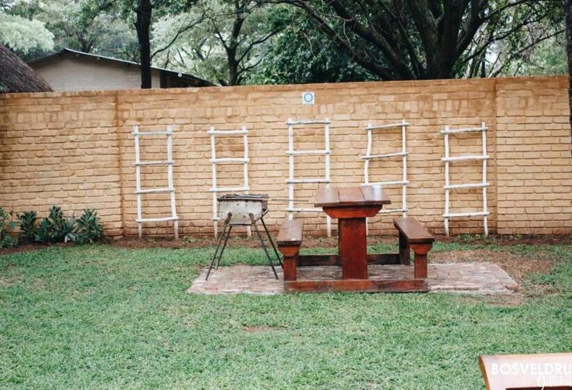 بنسيون Bosveldrus Gastehuis