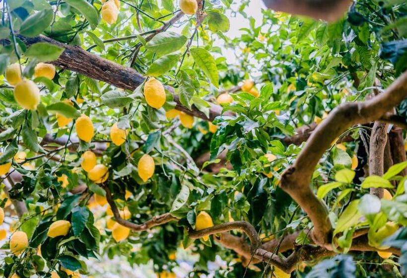 بنسيون Villa Le Murelle