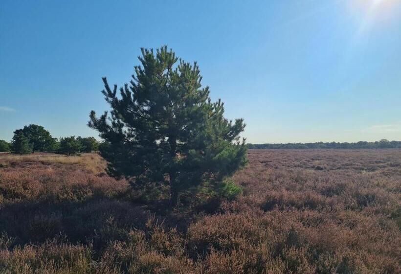 B&b Helene Hoeve