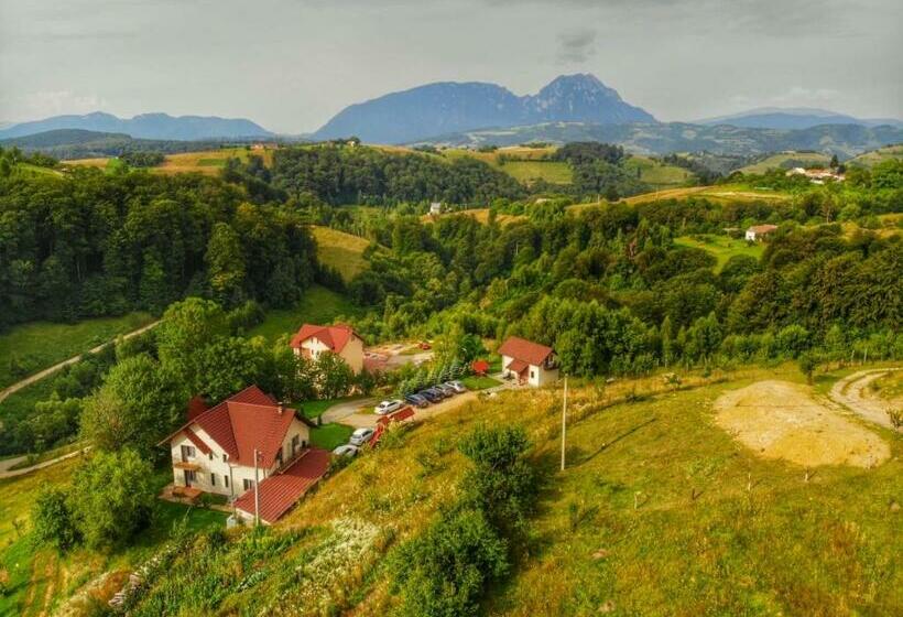 Pensiunea 7 Brazi Ii