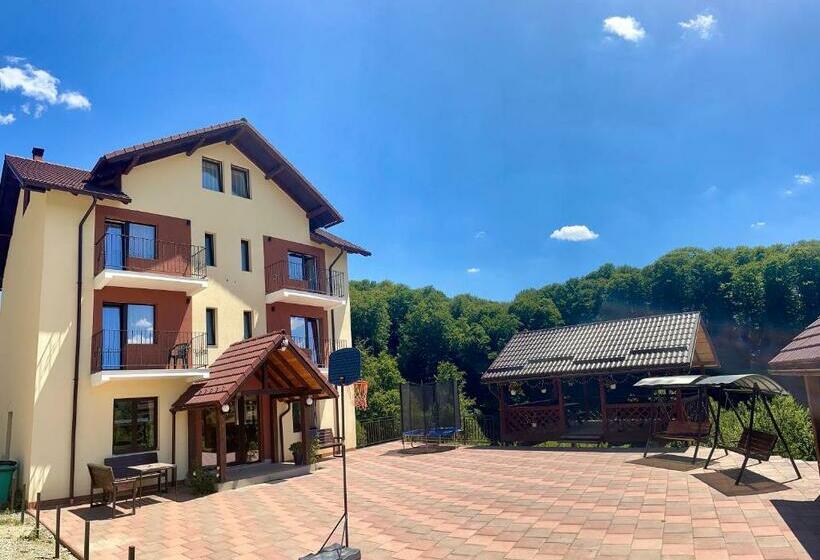 Pensiunea 7 Brazi Ii