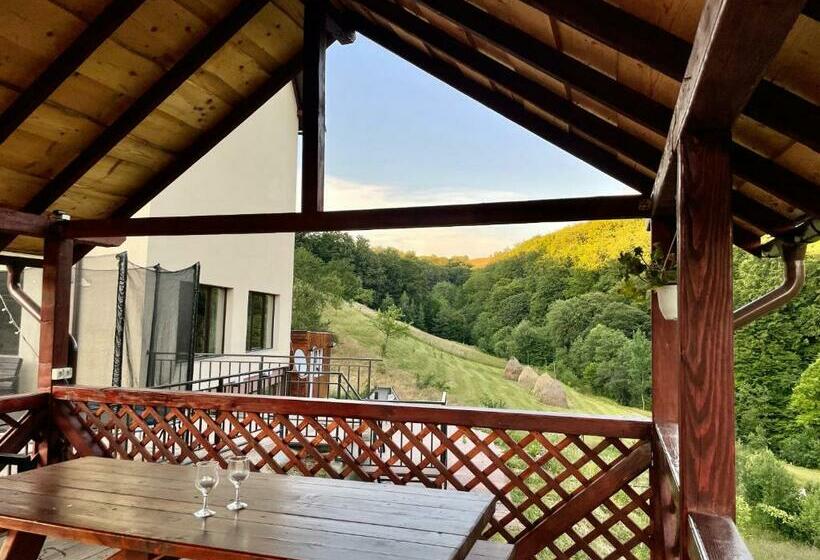 Pensiunea 7 Brazi Ii