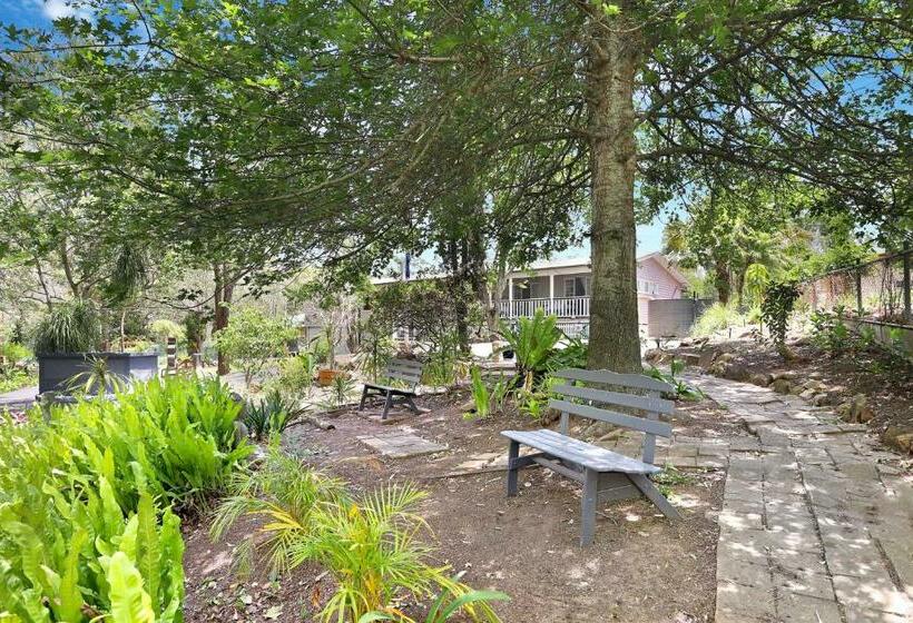 The Odd Gecko B&b