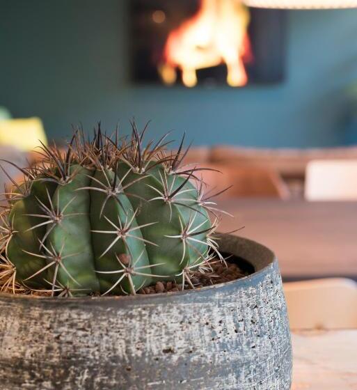 فندق Court Garden