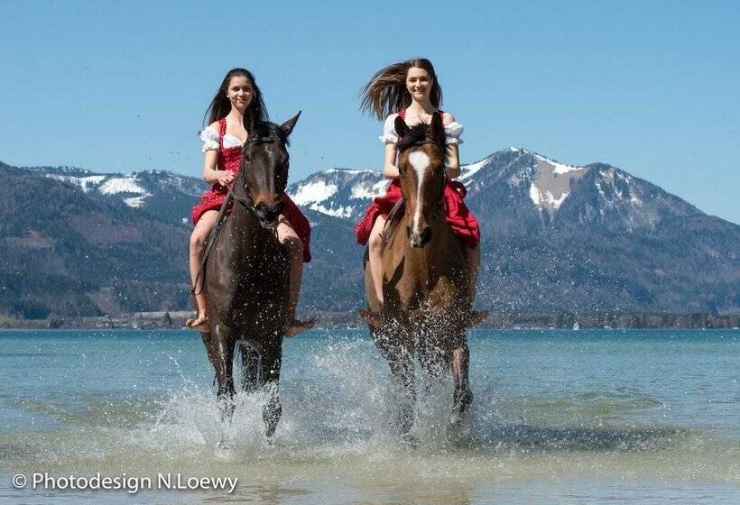 Отель Gutshof Wolfgangsee Resort & Event