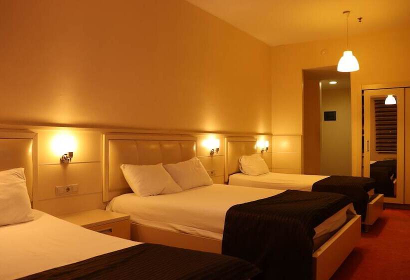 בית מלון כפרי Hangover Central