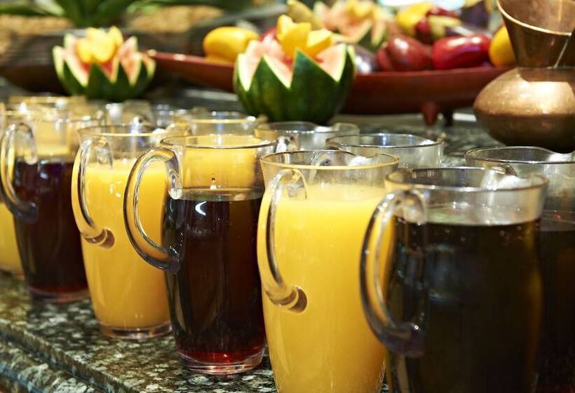 בית מלון כפרי Metcourt At Emperors Palace