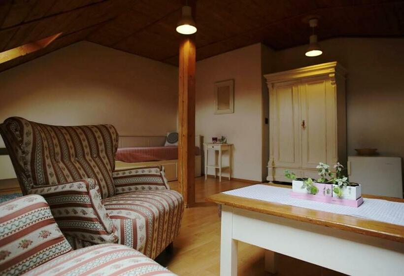 پانسیون Penzion Holland