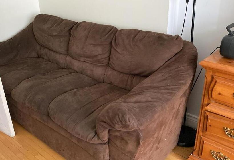 הוסטל Private Rooms, Free Parking, Full Kitchen, Best Prices In Town  York University Heights