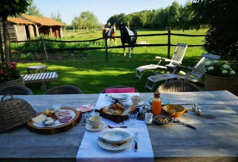 住宿加早餐  Casa Leone Near Bruges With Jacuzzi & Parking
