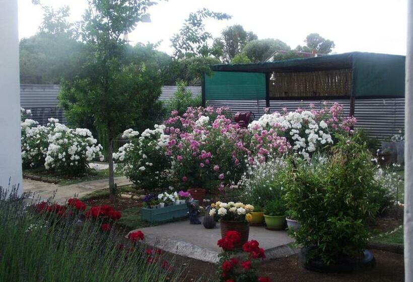 ベッドアンドブレックファースト Lavender Rose