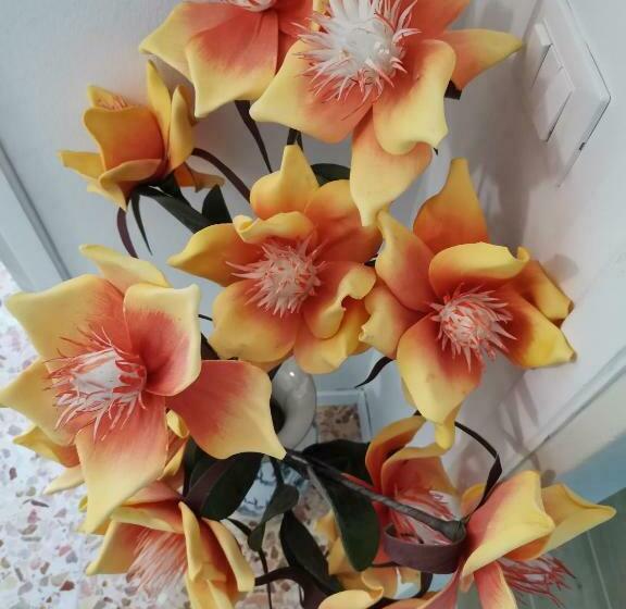 ペンション Casa Celeste