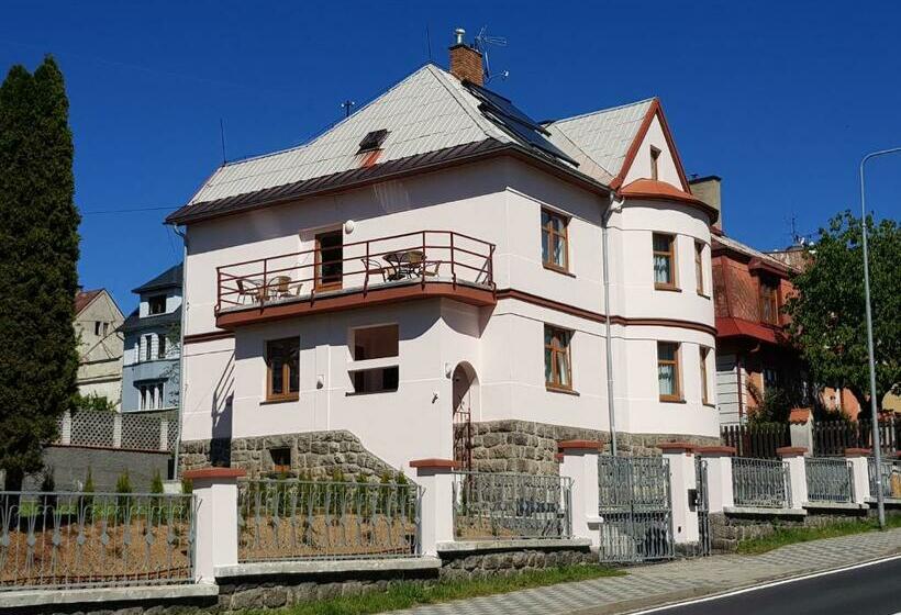 Vila Nejdek   Erzgebirge