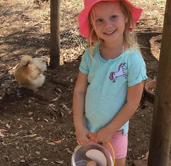 Пансион Glenview Alpaca Farm