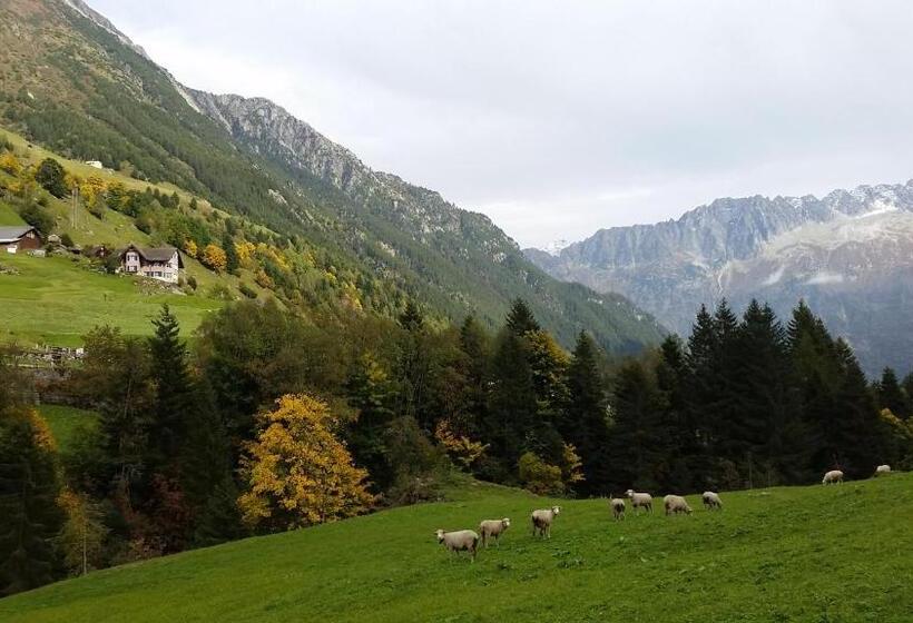بنسيون Gästehaus Alpenglühn