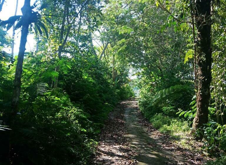 민박 Eco Bedugul Adventurer Camp