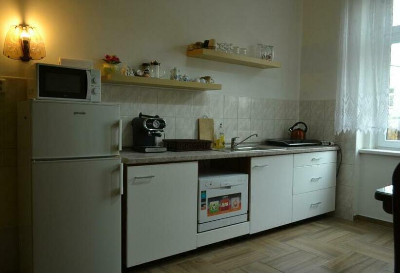 Apartments  Vintag  Teplice