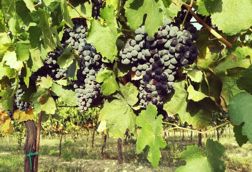 ベッドアンドブレックファースト Tenuta I Musi Lunghi