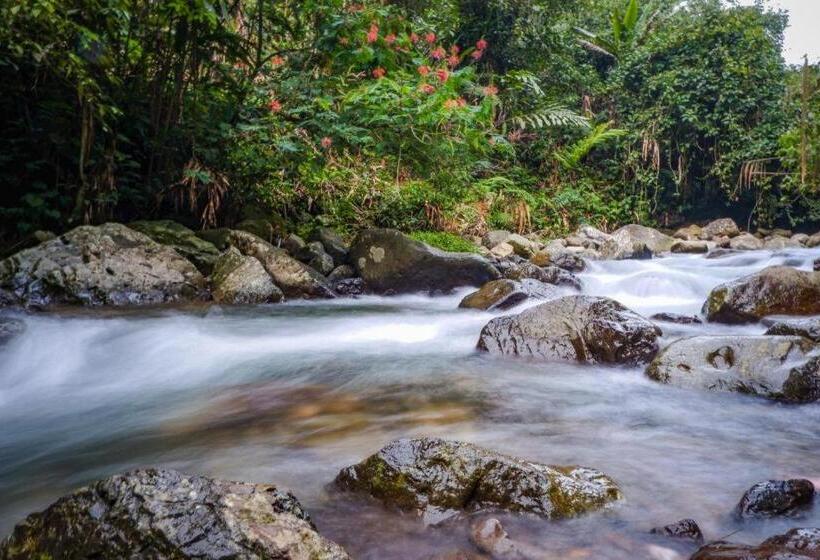 هتل Graha Widjaja