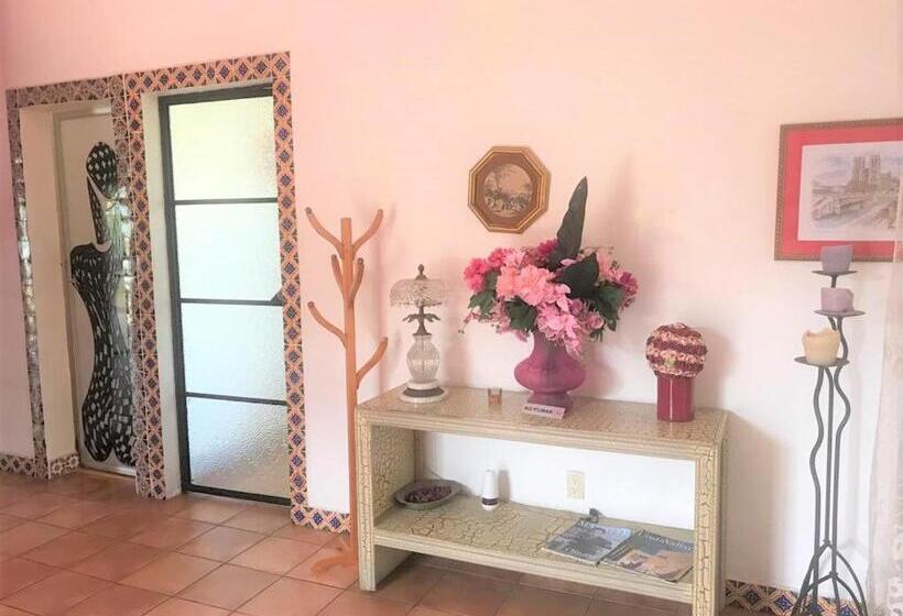 פנסיון Casa Jardín Del Tuito