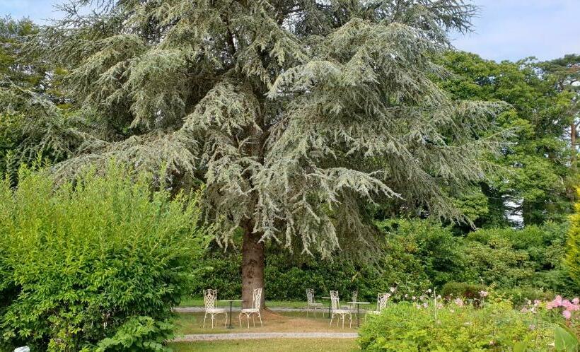 住宿加早餐  Crown Roads