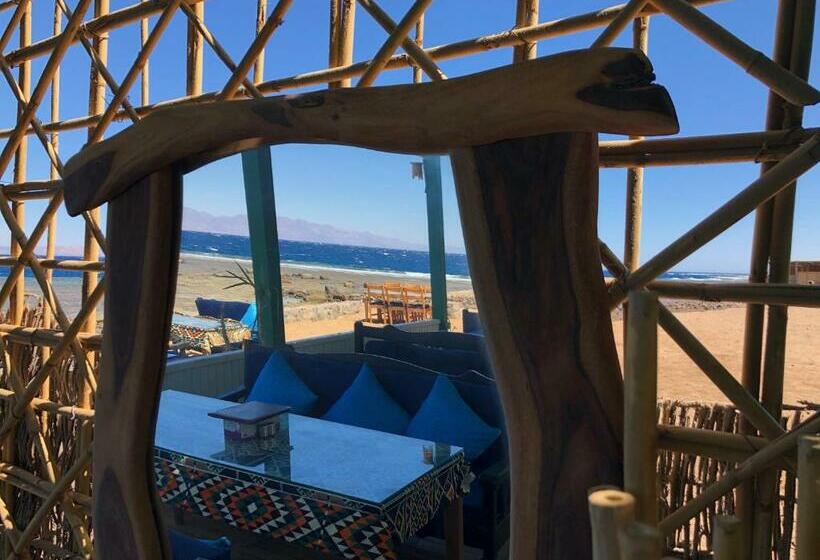 هتل Dahab Beach Lodge