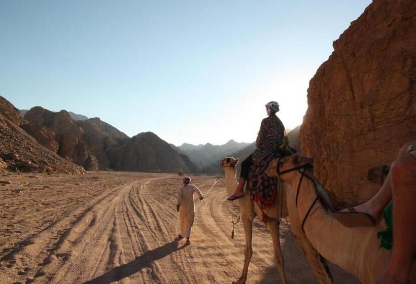 هتل Dahab Beach Lodge