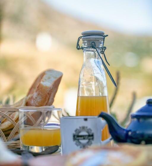 پانسیون Afra House