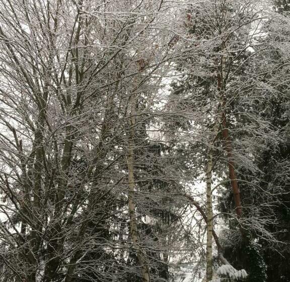 بنسيون Maison D’hôtes