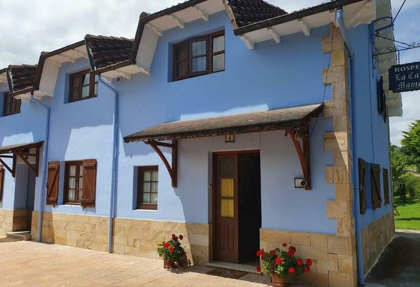 הוסטל La Casa De Mamasita