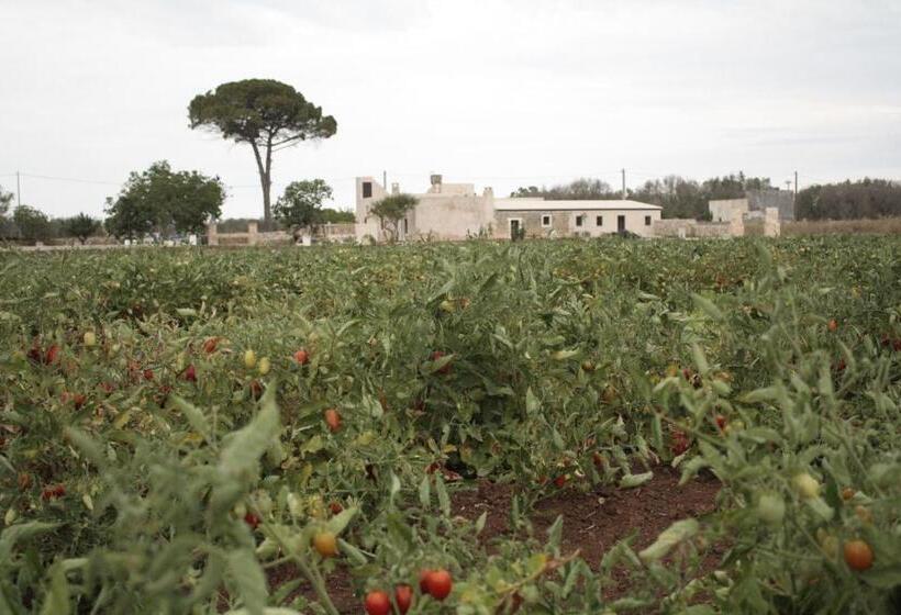 تختخواب و صبحانه Casina Solatia