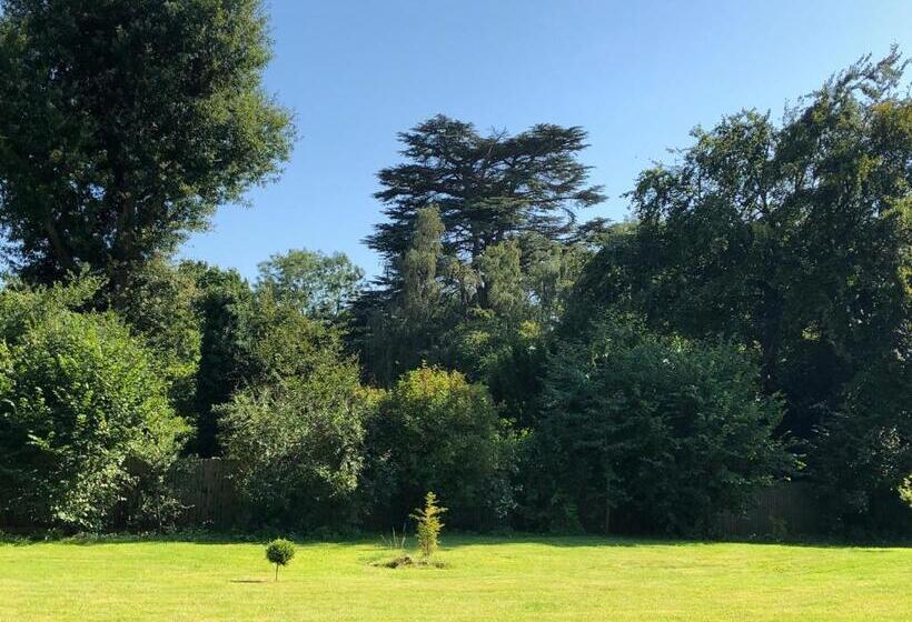 ベッドアンドブレックファースト Caynham Court