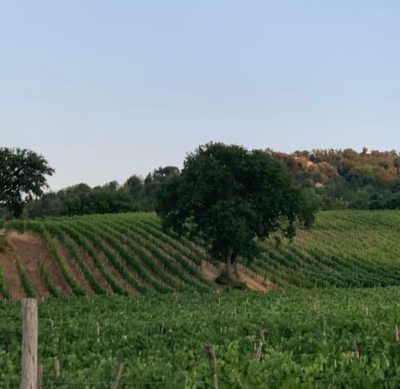 فندق Podere Le Mulina