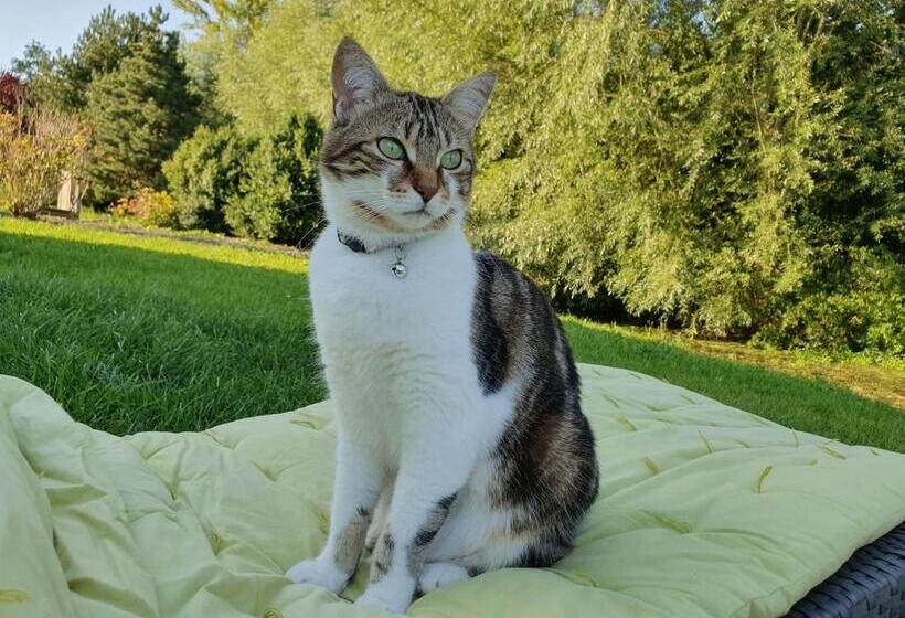 פנסיון Au Jardin Sur L Eau Hortillonnages