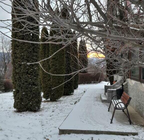 بنسيون Cabana Scaricica