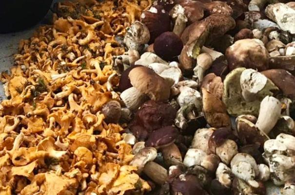 Пансион Feielhof