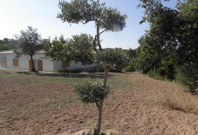 پانسیون Quinta Mata Da Sé