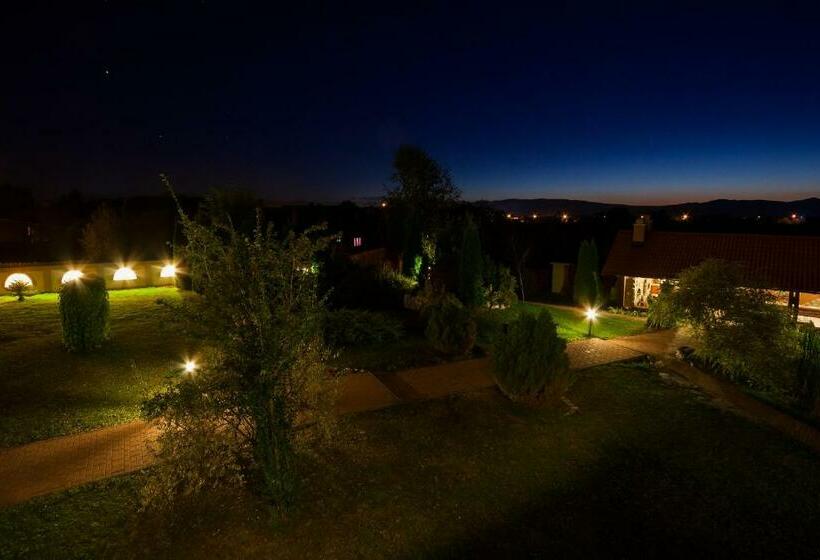 פנסיון Vila Transylvania