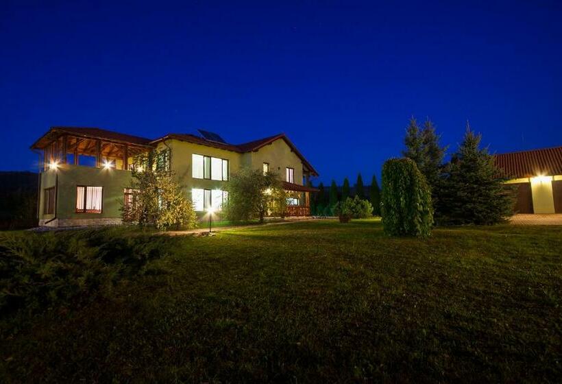 פנסיון Vila Transylvania