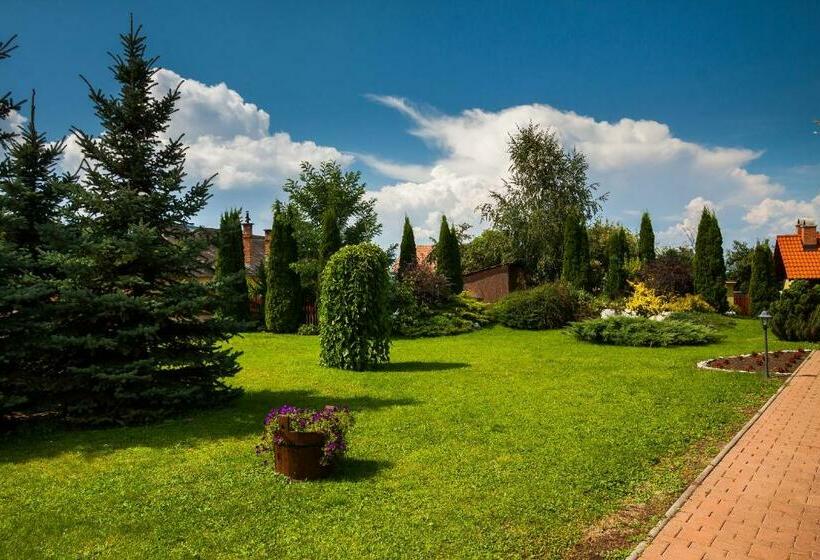 פנסיון Vila Transylvania