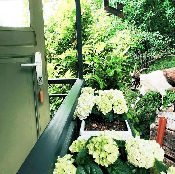 B&b Botton D Oro Valle Imagna