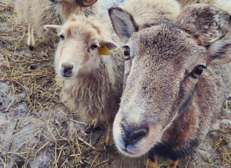 B&b Botton D Oro Valle Imagna