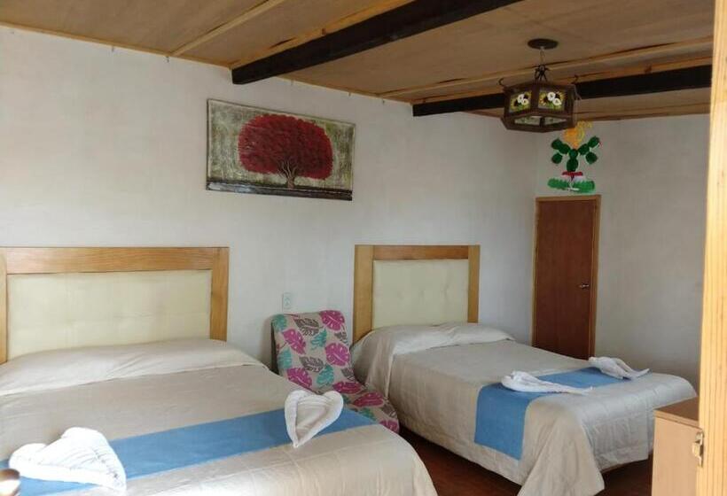پانسیون Cabañas Tipo Habitación  El Paraíso De Zacatlán