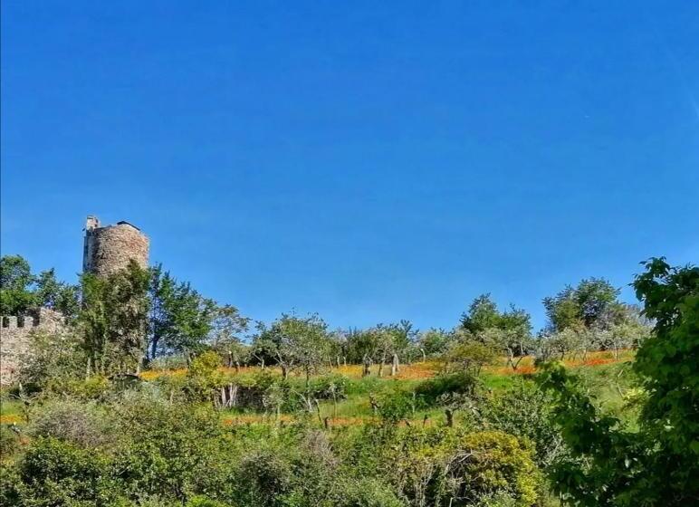 Пансион Casello68