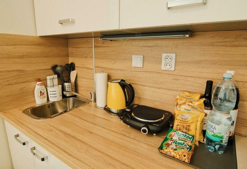 Aparthotel Vítkovice