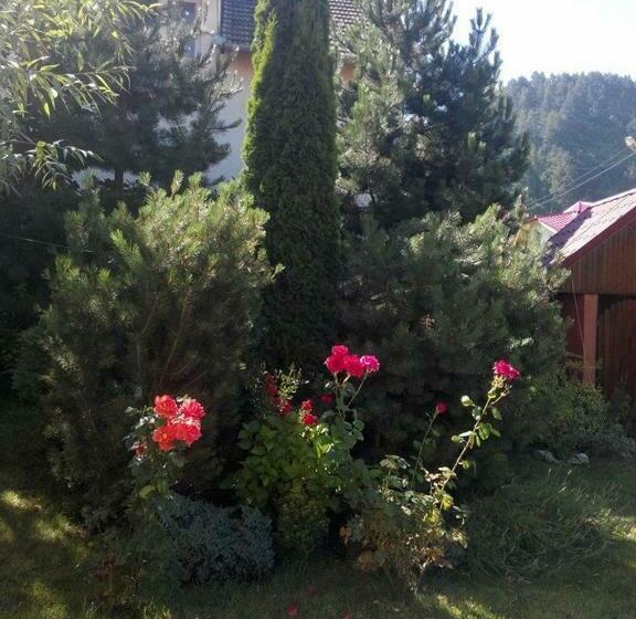 פנסיון Casa Soricelu