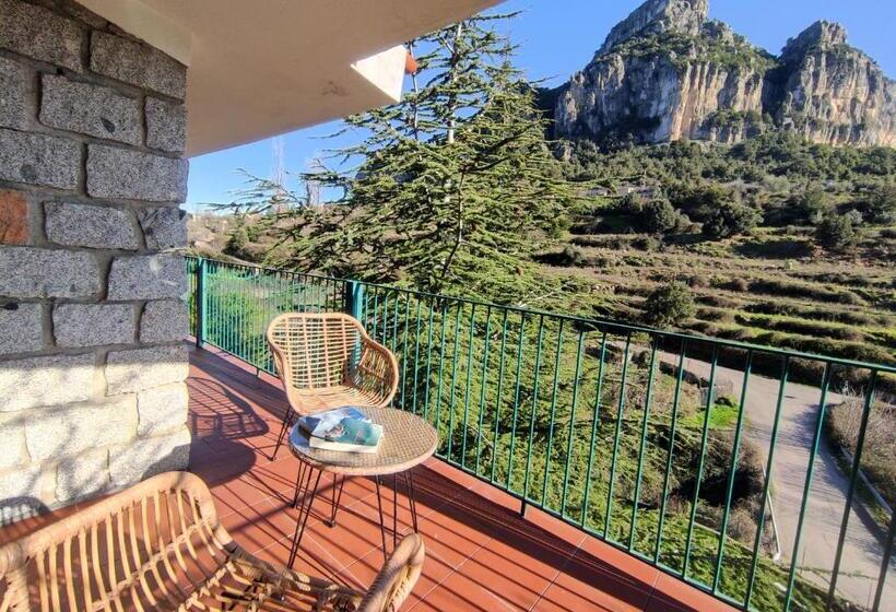 B&b Taccu Maccu